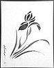 events/2006-06-24_sumie_orchids.jpg