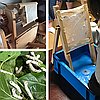 events/From-Moth-to-Cloth-silk-workshop-300px.jpg