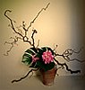 events/Ikebana100_1.jpg