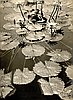 events/JANM-MakingWaves-KONO-PondFantasy-300px_1.jpg