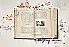 events/JANM-WhatWeCarried-AANM-HaifaBook-300px.jpg