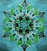 events/Shibori-Mandala-300px_1.jpg