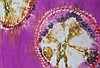 events/Shibori100.jpg