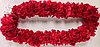 events/photo_courtesy_of_Aloha_Island_Lei.jpg