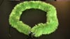 events/straw_lei100.jpg