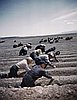 events/wide-american-earth-signature-150px_1.jpg