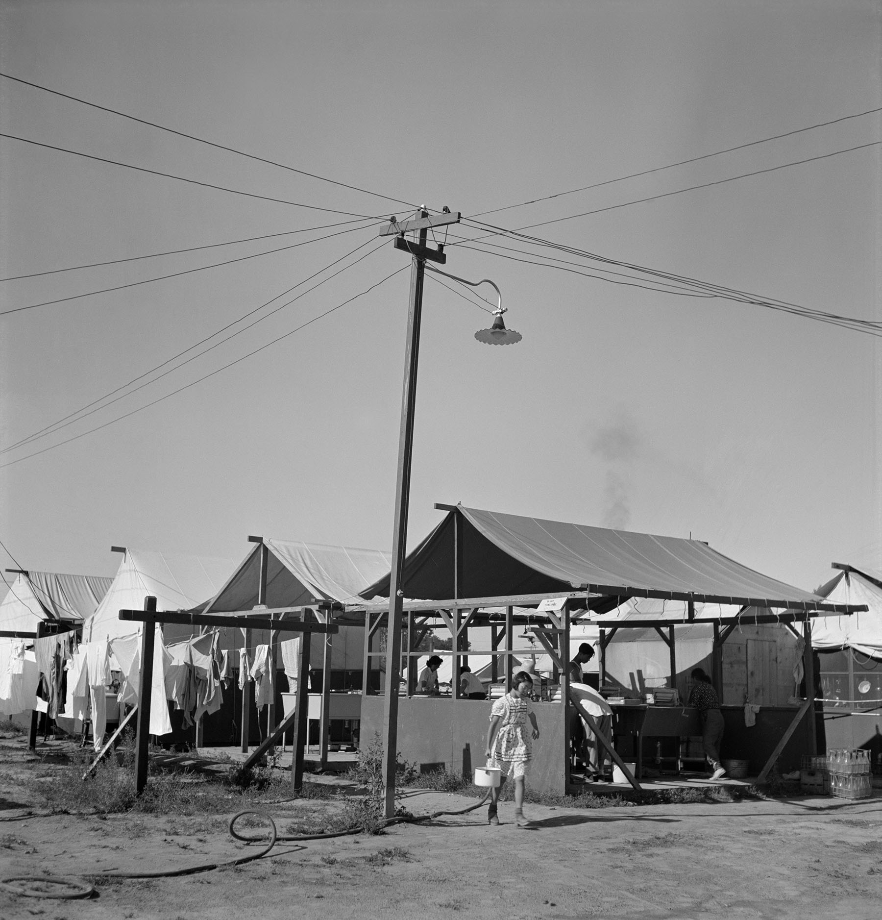 Extras Uprooted Japanese American National Museum